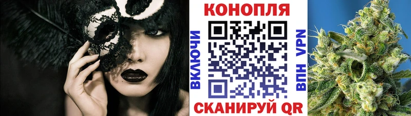 Бошки марихуана Amnesia  Любим 